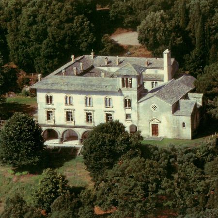 Gite Au Chateau Cagninacci San-Martino-di-Lota Exteriör bild